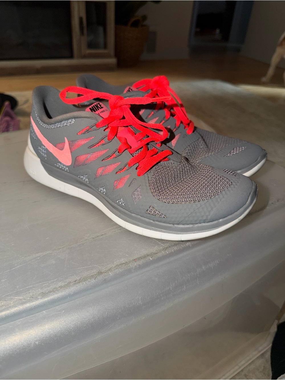 Nike Women’s Gray & Neon Pink Athletic Running Shoes